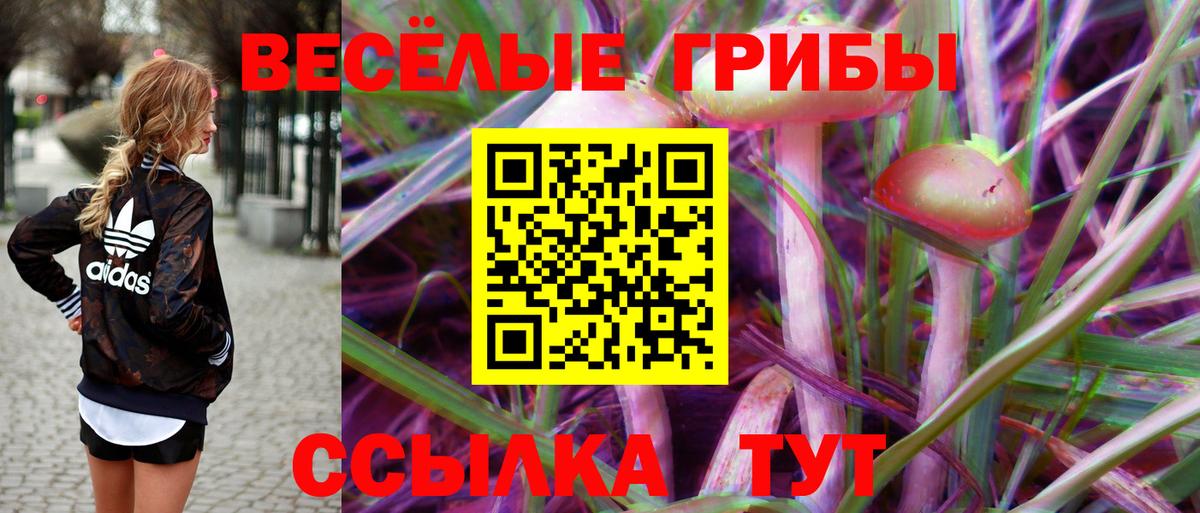 Псилоцибиновые грибы Cubensis  Галлюциногенные грибы мухоморы  Вход с VPN  как найти   Калининград 